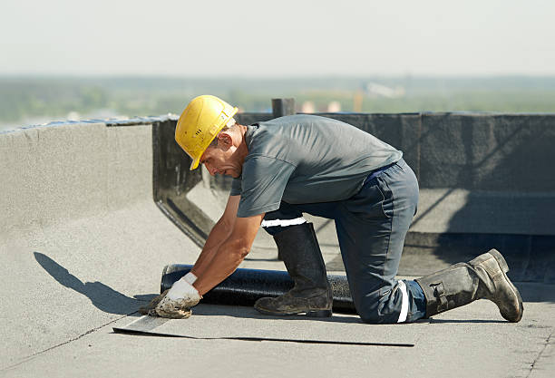 Best Geographic-Specific Insulation Services in Prescott, AZ