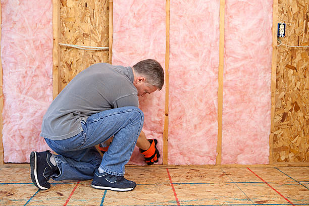 Best Cellulose Insulation in Prescott, AZ